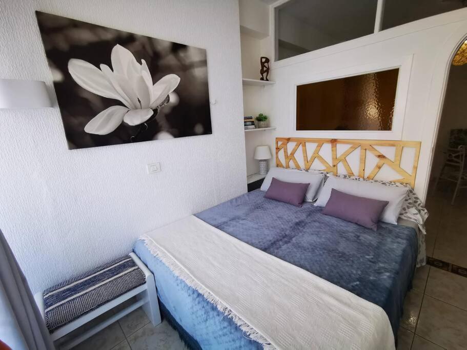 Estudio Ana Puerto de la Cruz  Luaran gambar