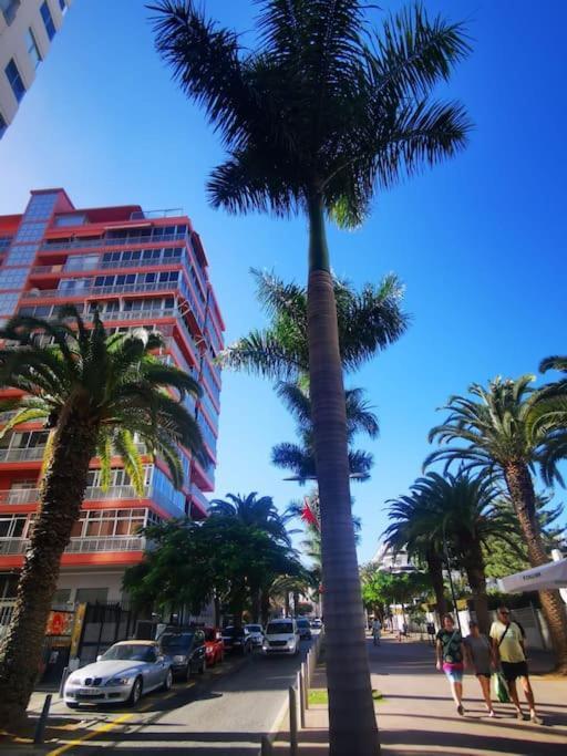 Estudio Ana Puerto de la Cruz  Luaran gambar