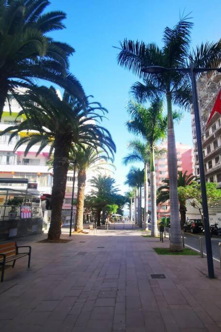 Estudio Ana Puerto de la Cruz  Luaran gambar